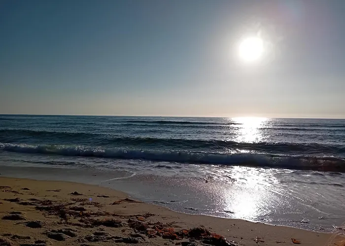 A Pintega Das Dunas